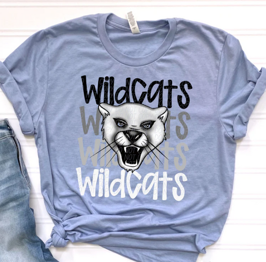 Wildcats School Spirit